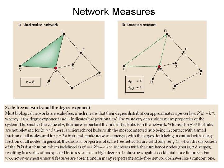 Network Measures 