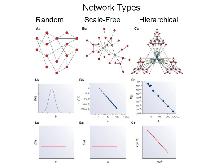 Network Types Random Scale-Free Hierarchical 