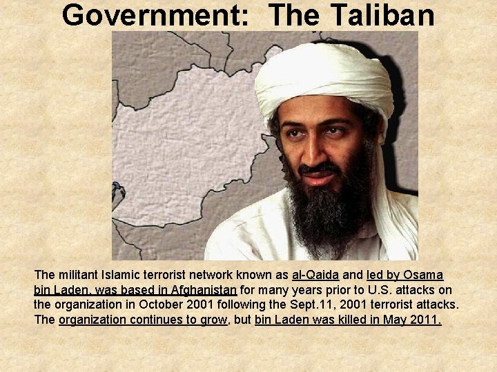 Government: The Taliban The militant Islamic terrorist network known as al-Qaida and led by