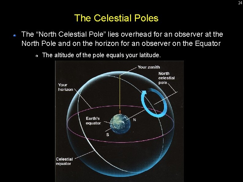 24 The Celestial Poles The “North Celestial Pole” lies overhead for an observer at