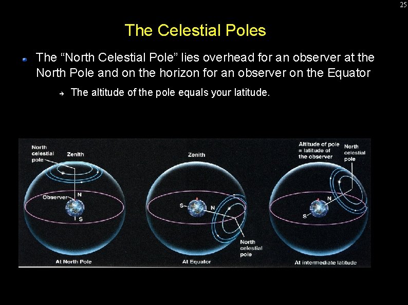 25 The Celestial Poles The “North Celestial Pole” lies overhead for an observer at