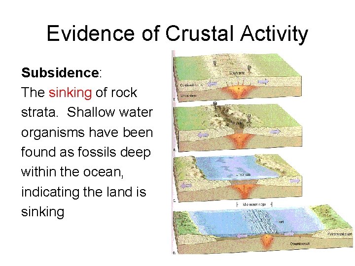 Evidence of Crustal Activity Subsidence: The sinking of rock strata. Shallow water organisms have