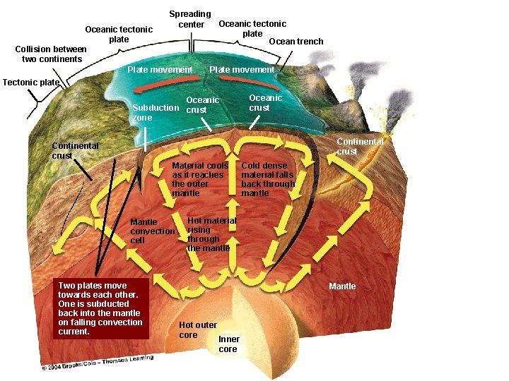 Spreading Oceanic tectonic center plate Ocean trench Oceanic tectonic plate Collision between two continents