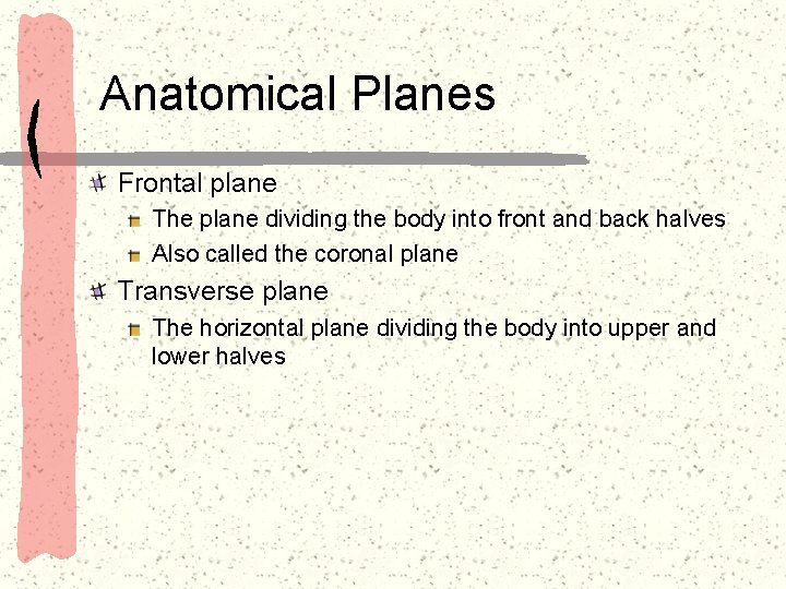 Anatomical Planes Frontal plane The plane dividing the body into front and back halves