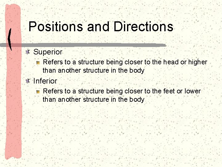 Positions and Directions Superior Refers to a structure being closer to the head or