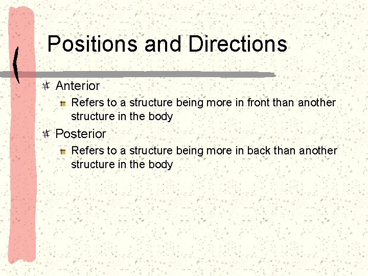 Positions and Directions Anterior Refers to a structure being more in front than another