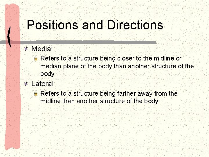 Positions and Directions Medial Refers to a structure being closer to the midline or