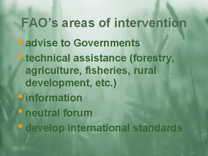 FAO’s areas of intervention • advise to Governments • technical assistance (forestry, agriculture, fisheries,