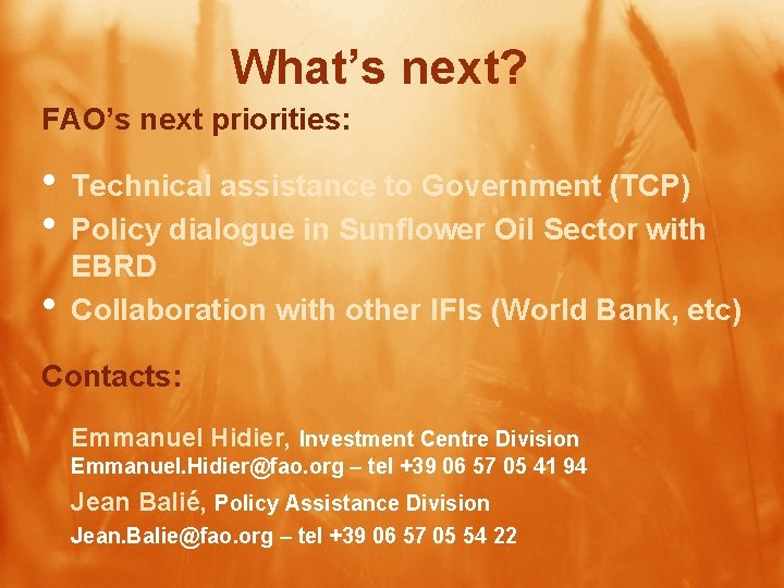 What’s next? FAO’s next priorities: • Technical assistance to Government (TCP) • Policy dialogue