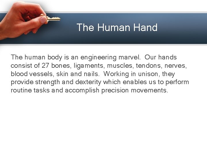 The Human Hand The human body is an engineering marvel. Our hands consist of