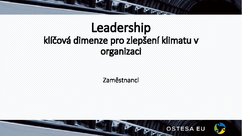 Leadership klíčová dimenze pro zlepšení klimatu v organizaci Zaměstnanci 