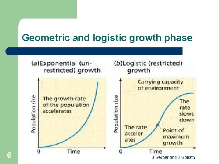 Geometric and logistic growth phase 6 J Gerber and J Goliath 