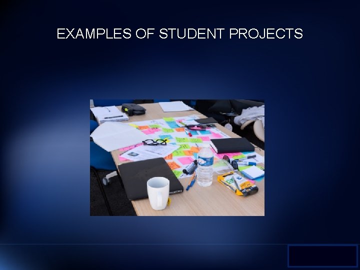 EXAMPLES OF STUDENT PROJECTS 