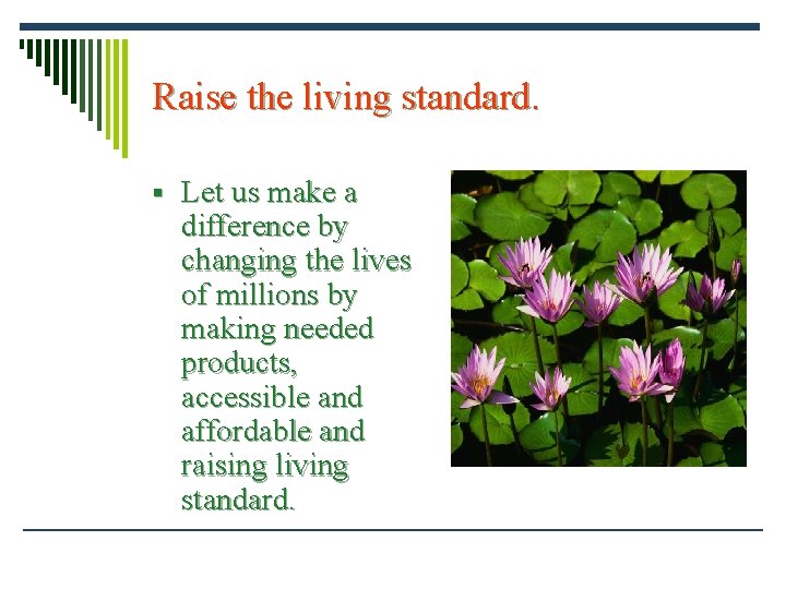 Raise the living standard. § Let us make a difference by changing the lives Raise the living standard. § Let us make a difference by changing the lives