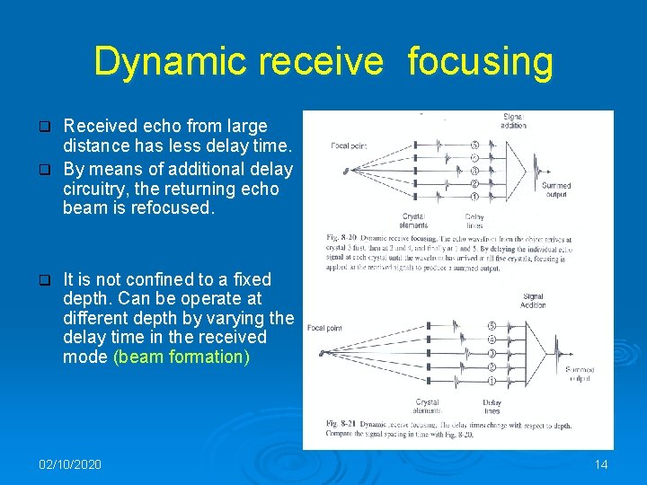 Dynamic receive focusing Received echo from large distance has less delay time. q By