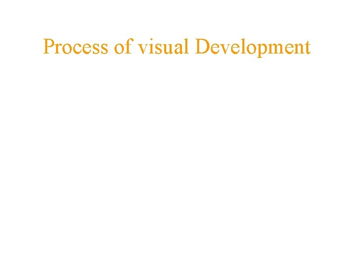 Process of visual Development 