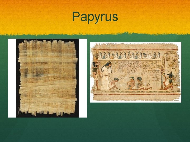 Papyrus 