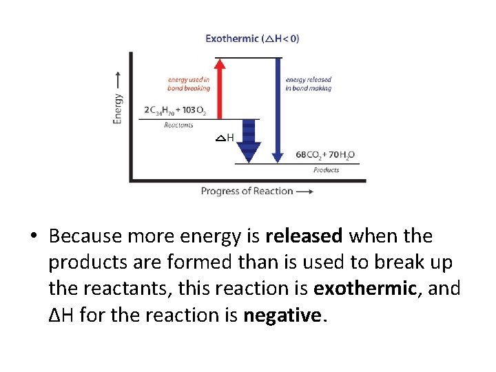  • Because more energy is released when the products are formed than is