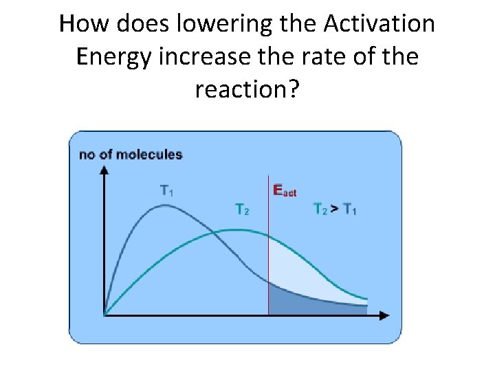 How does lowering the Activation Energy increase the rate of the reaction? 