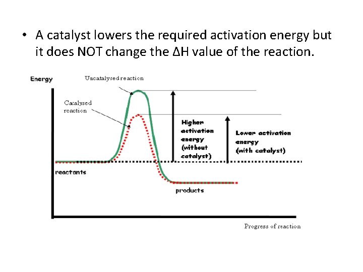  • A catalyst lowers the required activation energy but it does NOT change