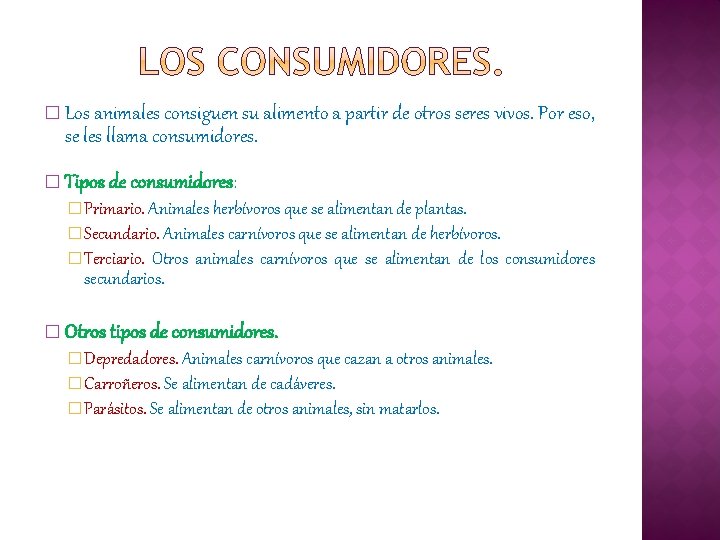 � Los animales consiguen su alimento a partir de otros seres vivos. Por eso,