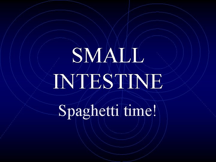 SMALL INTESTINE Spaghetti time! 