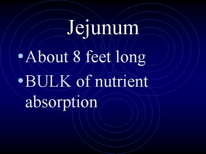 Jejunum • About 8 feet long • BULK of nutrient absorption 