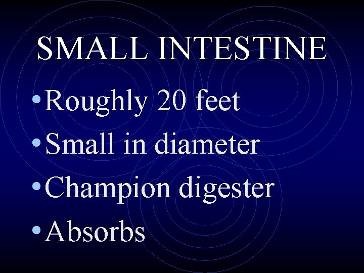 SMALL INTESTINE • Roughly 20 feet • Small in diameter • Champion digester •