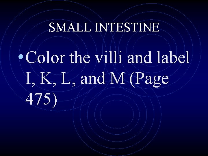 SMALL INTESTINE • Color the villi and label I, K, L, and M (Page