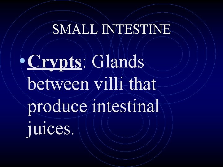 SMALL INTESTINE • Crypts: Glands between villi that produce intestinal juices. 