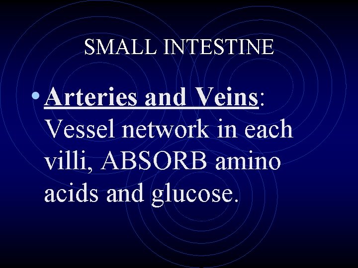 SMALL INTESTINE • Arteries and Veins: Vessel network in each villi, ABSORB amino acids