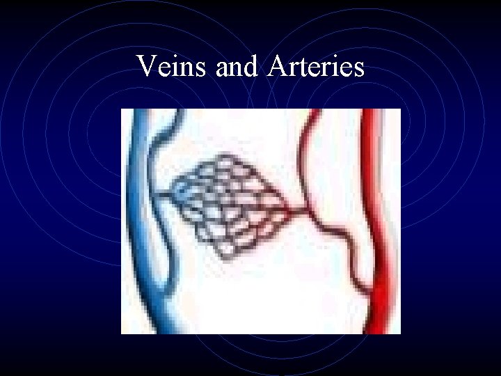 Veins and Arteries 
