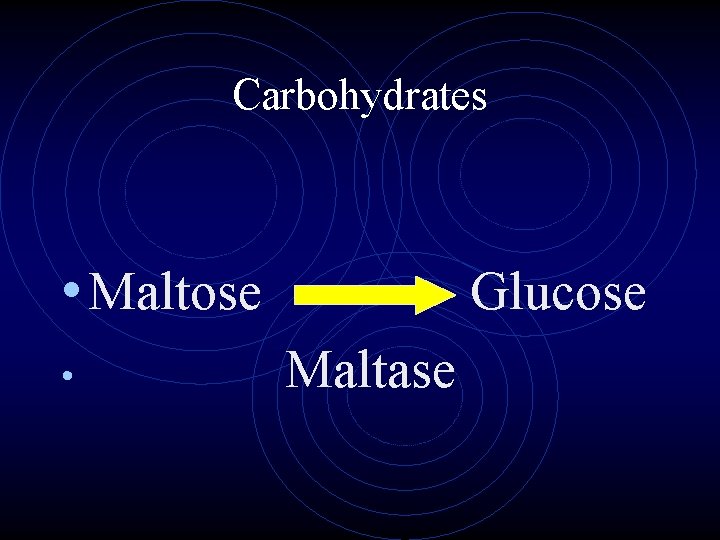 Carbohydrates • Maltose • Glucose Maltase 
