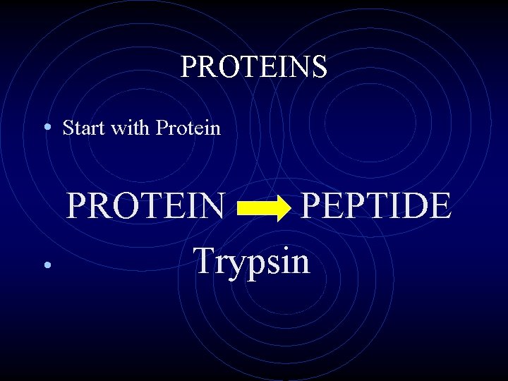 PROTEINS • Start with Protein • PROTEIN PEPTIDE Trypsin 