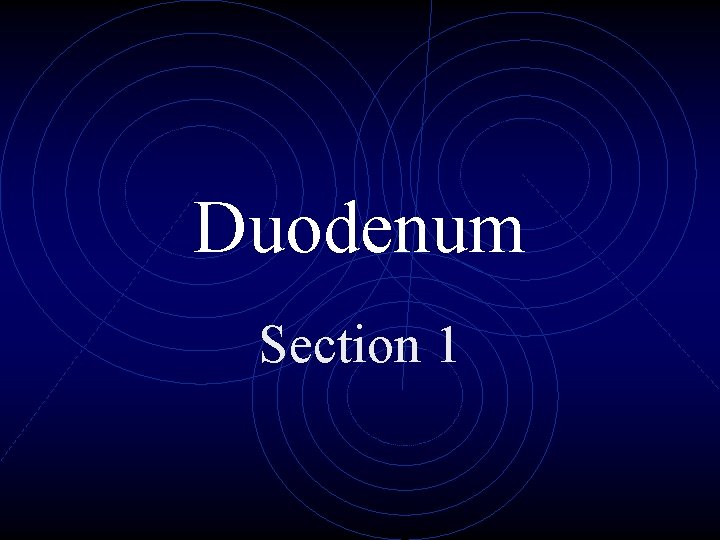 Duodenum Section 1 