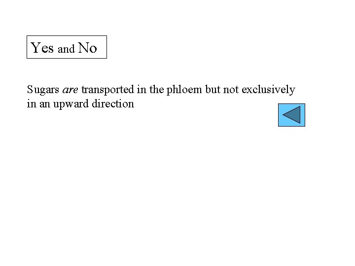 Yes and No Sugars are transported in the phloem but not exclusively in an