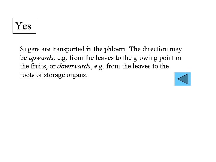 Yes Sugars are transported in the phloem. The direction may be upwards, e. g.