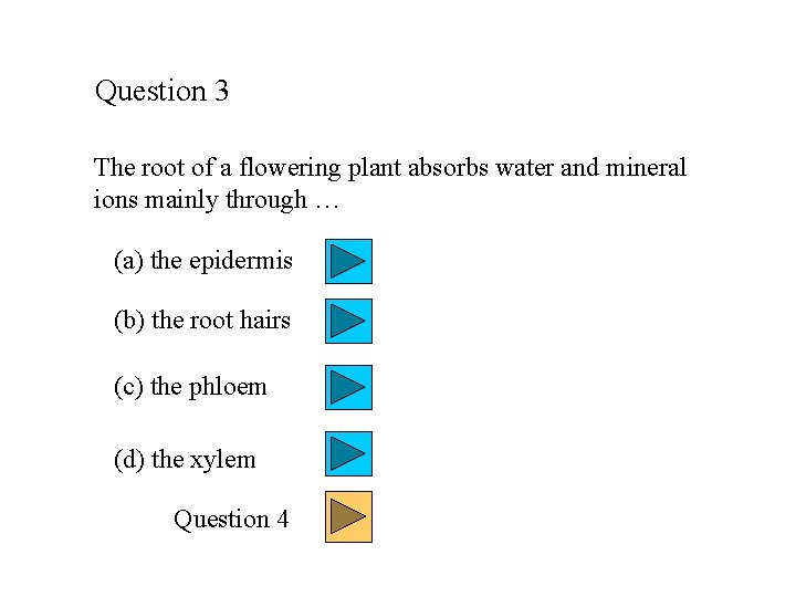 Question 3 The root of a flowering plant absorbs water and mineral ions mainly