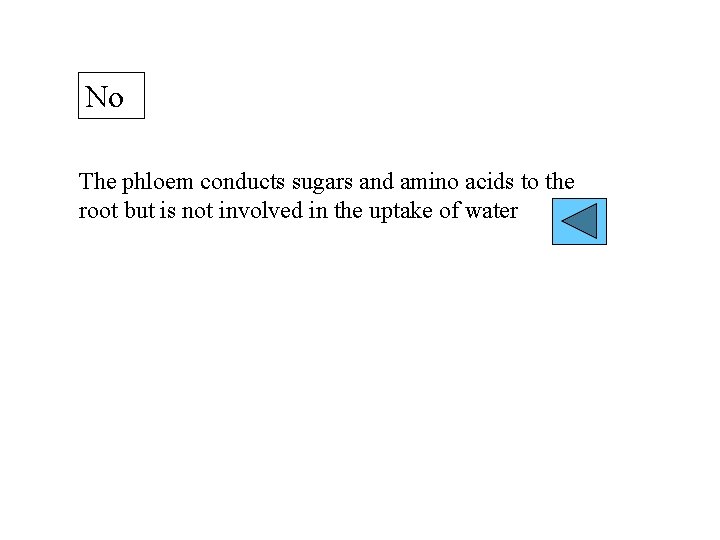 No The phloem conducts sugars and amino acids to the root but is not