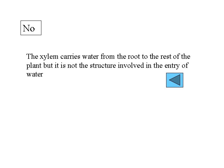 No The xylem carries water from the root to the rest of the plant