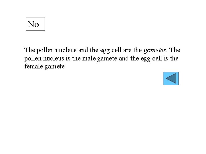 No The pollen nucleus and the egg cell are the gametes. The pollen nucleus