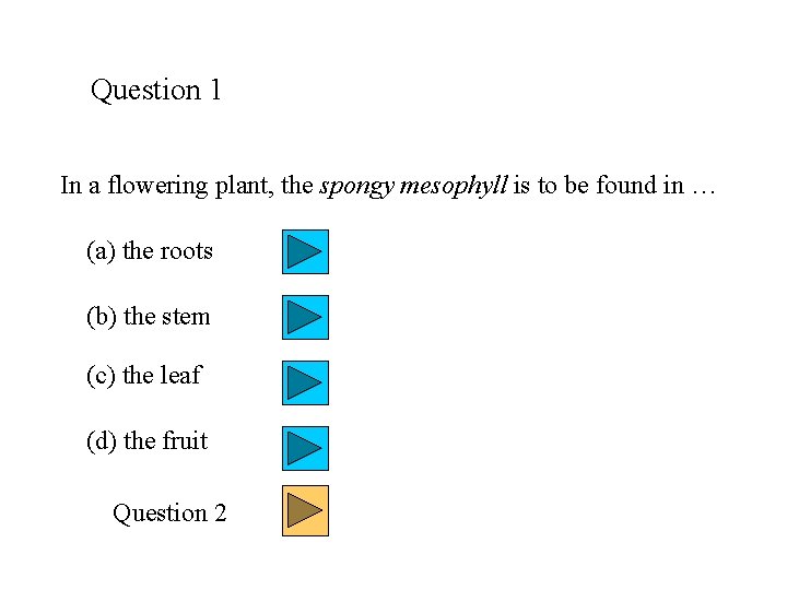 Question 1 In a flowering plant, the spongy mesophyll is to be found in