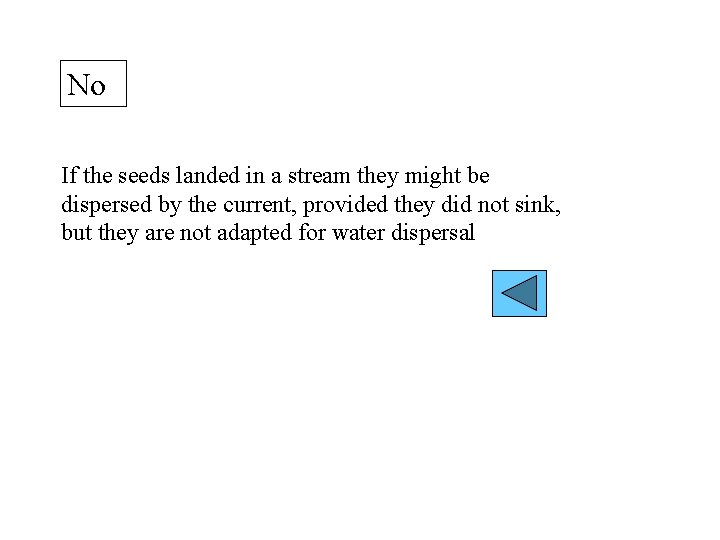 No If the seeds landed in a stream they might be dispersed by the