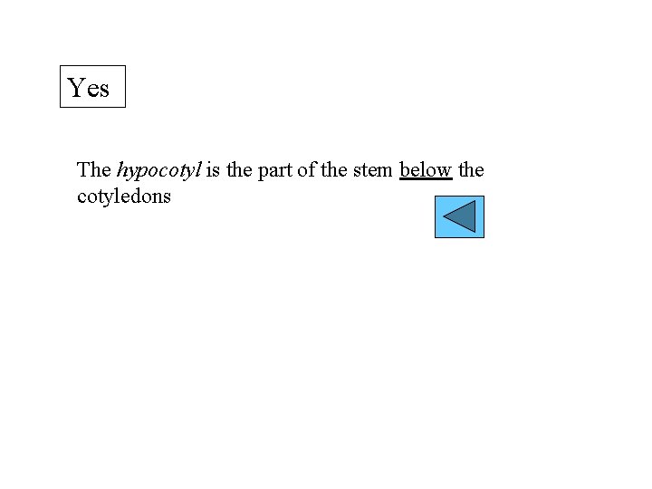 Yes The hypocotyl is the part of the stem below the cotyledons 