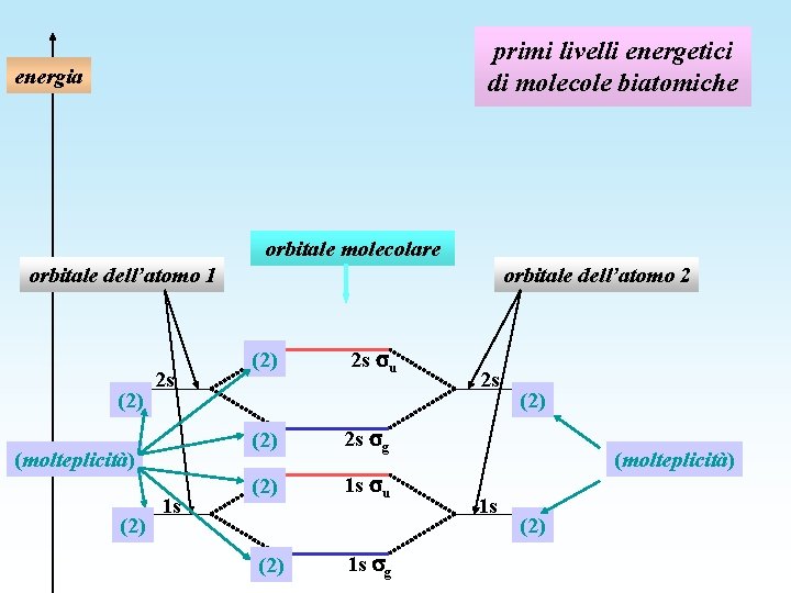 primi livelli energetici di molecole biatomiche energia orbitale molecolare orbitale dell’atomo 1 (2) 2