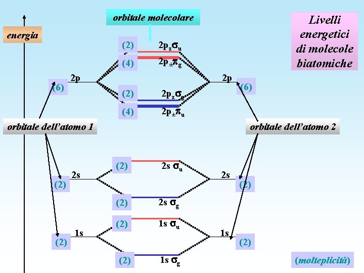 orbitale molecolare energia (6) (2) 2 pz u (4) 2 p± g 2 p