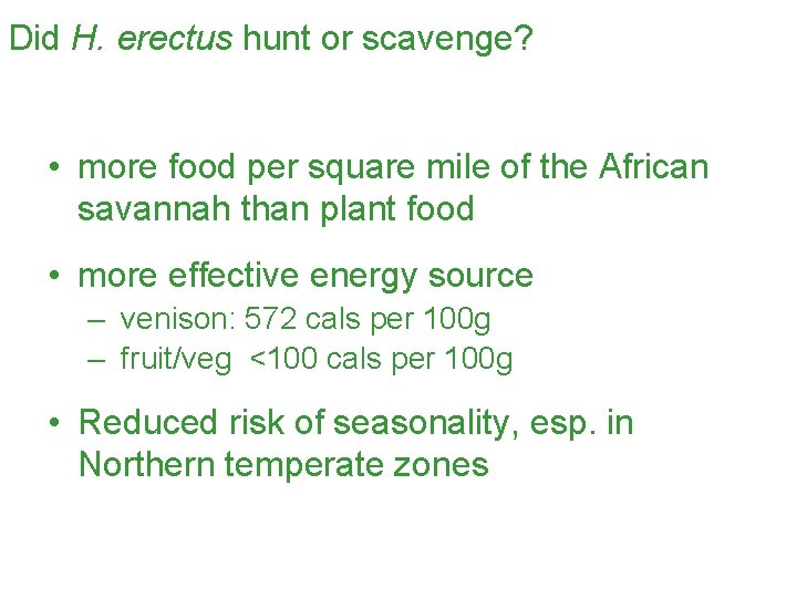 Did H. erectus hunt or scavenge? • more food per square mile of the