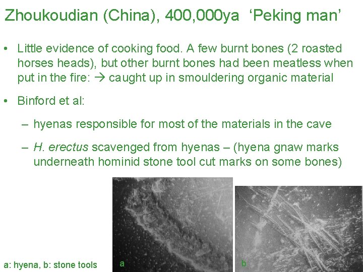 Zhoukoudian (China), 400, 000 ya ‘Peking man’ • Little evidence of cooking food. A