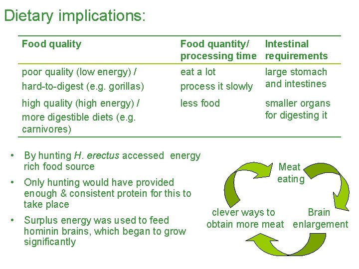 Dietary implications: Food quality Food quantity/ Intestinal processing time requirements poor quality (low energy)