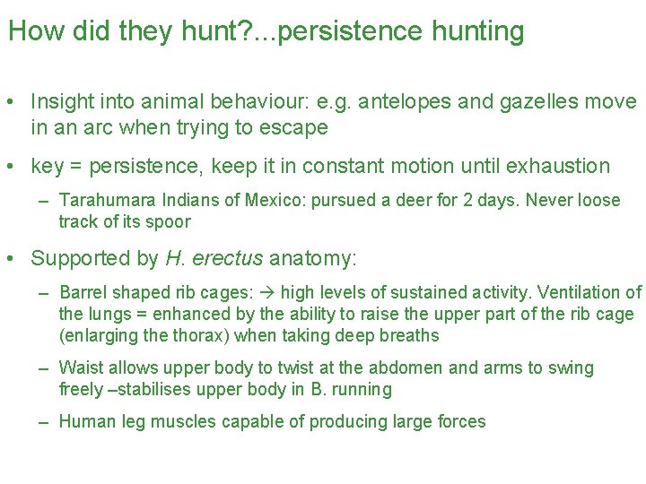 How did they hunt? . . . persistence hunting • Insight into animal behaviour: